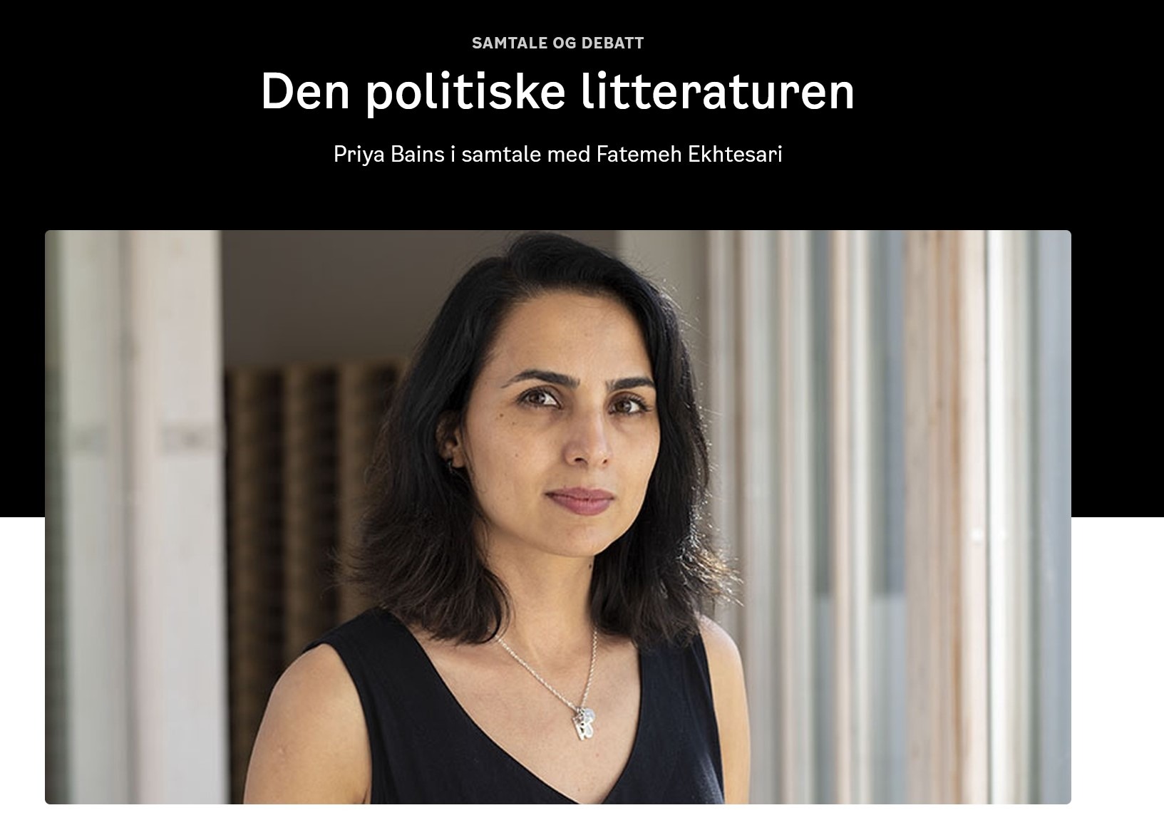 Den politiske litteraturen