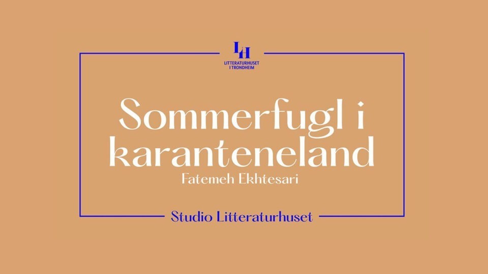 sommerfugl i karanteneland hjemme